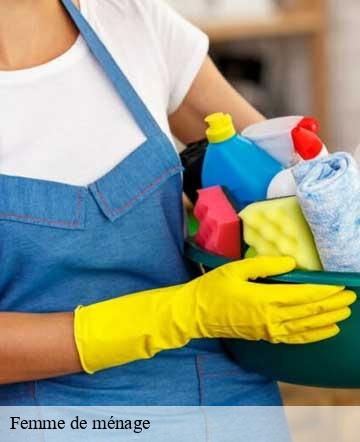 Femme de ménage 50 Manche Joan pro