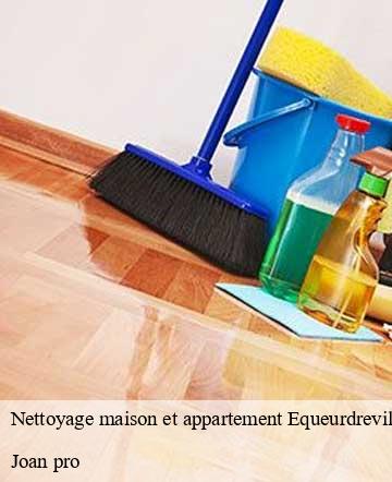 Nettoyage maison et appartement  equeurdreville-hainneville-50120 Joan pro