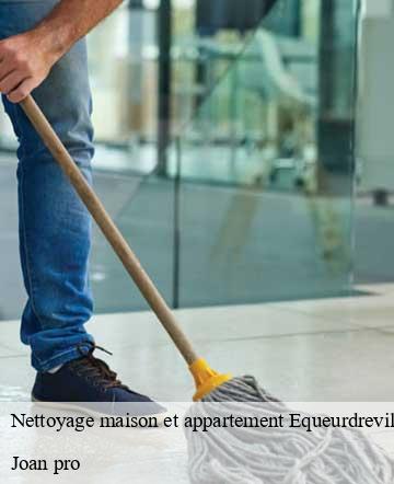 Nettoyage maison et appartement  equeurdreville-hainneville-50120 Joan pro