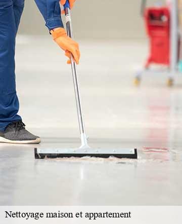 Nettoyage maison et appartement  geffosses-50560 Joan pro