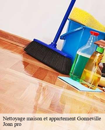 Nettoyage maison et appartement  gonneville-50330 Joan pro