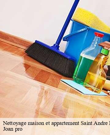 Nettoyage maison et appartement  saint-andre-de-bohon-50500 Joan pro