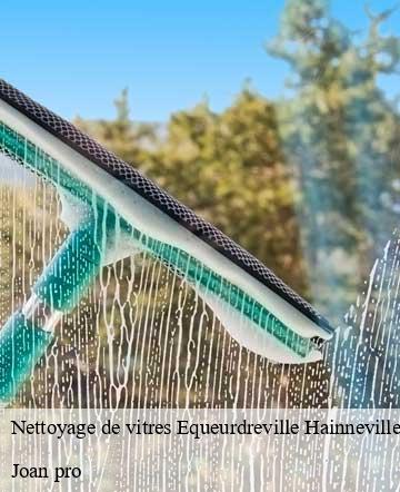 Nettoyage de vitres  equeurdreville-hainneville-50120 Joan pro