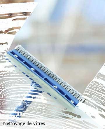 Nettoyage de vitres notre-dame-d-elle-50810 Joan pro