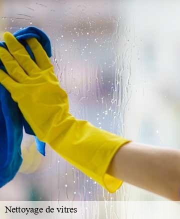 Nettoyage de vitres  vains-50300 Joan pro