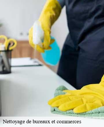 Nettoyage de bureaux et commerces la-bloutiere-50800 Joan pro