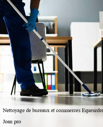 Nettoyage de bureaux et commerces  equeurdreville-hainneville-50120 Joan pro