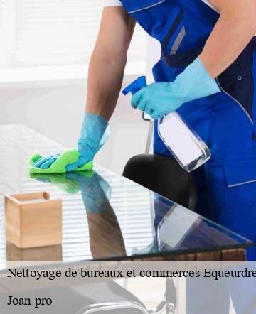 Nettoyage de bureaux et commerces  equeurdreville-hainneville-50120 Joan pro