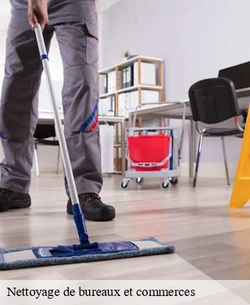 Nettoyage de bureaux et commerces  isigny-le-buat-50540 Joan pro