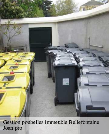Gestion poubelles immeuble  bellefontaine-50520 Joan pro