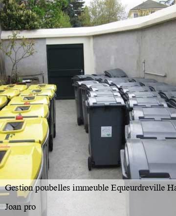 Gestion poubelles immeuble equeurdreville-hainneville-50120 Joan pro
