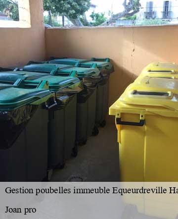 Gestion poubelles immeuble  equeurdreville-hainneville-50120 Joan pro