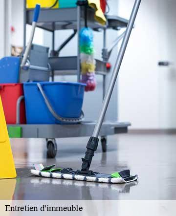 Entretien d'immeuble beuzeville-au-plain-50480 Joan pro
