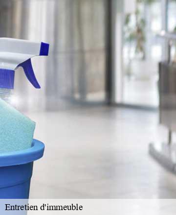 Entretien d'immeuble  la-bloutiere-50800 Joan pro
