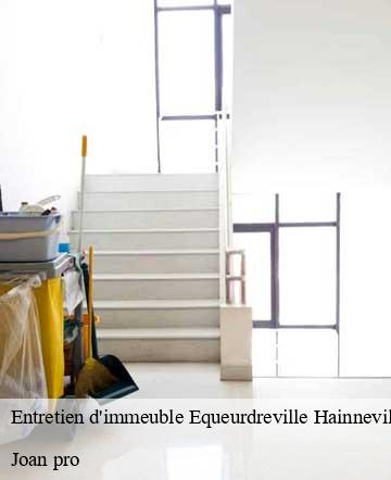 Entretien d'immeuble  equeurdreville-hainneville-50120 Joan pro