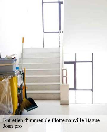 Entretien d'immeuble  flottemanville-hague-50690 Joan pro