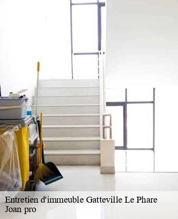 Entretien d'immeuble  gatteville-le-phare-50760 Joan pro