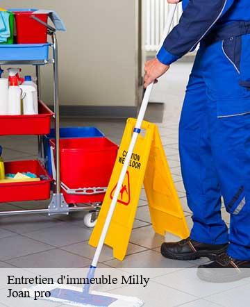 Entretien d'immeuble  milly-50600 Joan pro