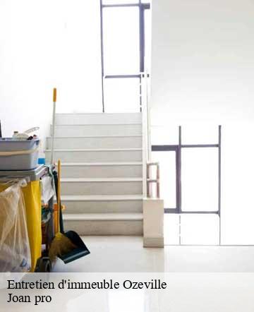 Entretien d'immeuble  ozeville-50310 Joan pro