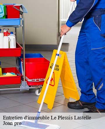 Entretien d'immeuble  le-plessis-lastelle-50250 Joan pro