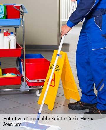 Entretien d'immeuble sainte-croix-hague-50440 Joan pro