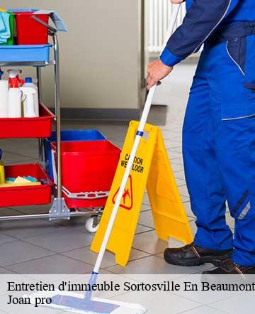 Entretien d'immeuble  sortosville-en-beaumont-50270 Joan pro