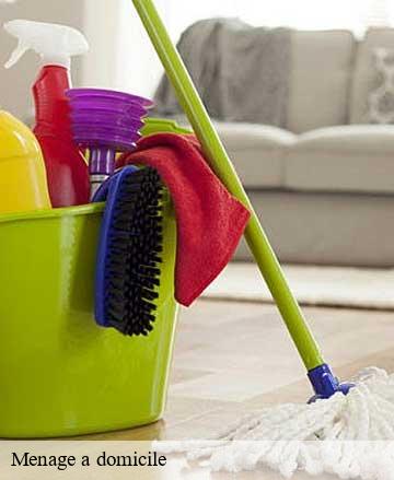 Menage a domicile  dangy-50750 Joan pro