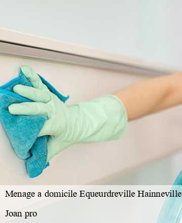 Menage a domicile  equeurdreville-hainneville-50120 Joan pro