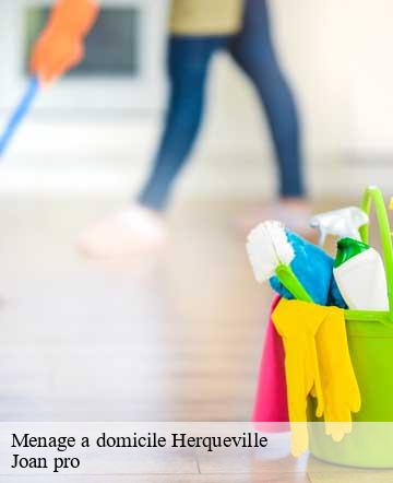 Menage a domicile herqueville-50440 Joan pro