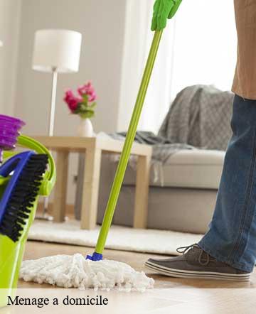 Menage a domicile vessey-50170 Joan pro