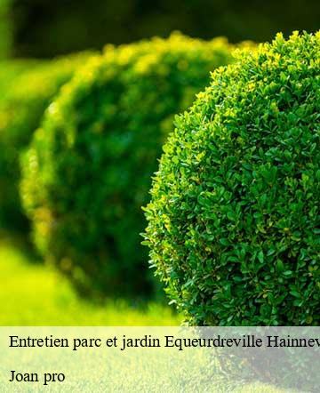 Entretien parc et jardin  equeurdreville-hainneville-50120 Joan pro
