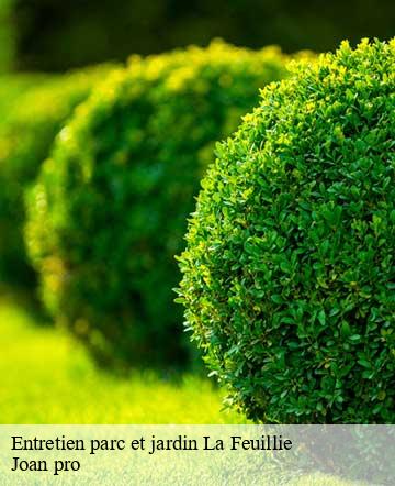Entretien parc et jardin la-feuillie-50190 Joan pro