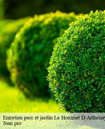 Entretien parc et jardin le-hommet-d-arthenay-50620 Joan pro