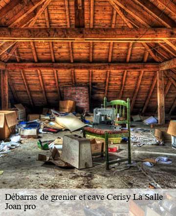 Débarras de grenier et cave cerisy-la-salle-50210 Joan pro