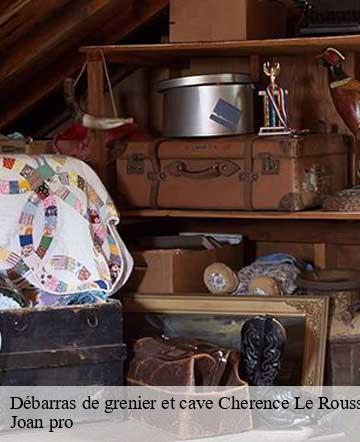 Débarras de grenier et cave  cherence-le-roussel-50520 Joan pro