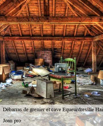 Débarras de grenier et cave  equeurdreville-hainneville-50120 Joan pro