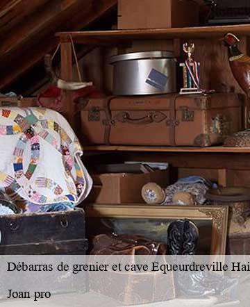 Débarras de grenier et cave  equeurdreville-hainneville-50120 Joan pro