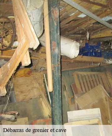 Débarras de grenier et cave  hautteville-bocage-50390 Joan pro