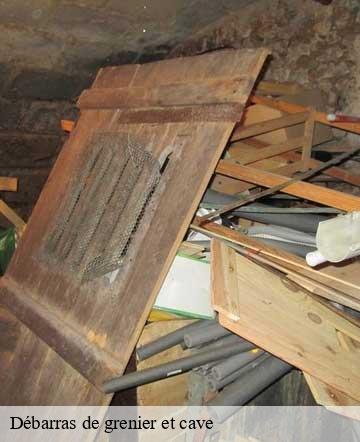 Débarras de grenier et cave  le-mesnil-rogues-50450 Joan pro