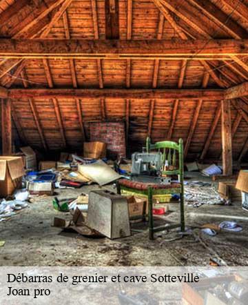 Débarras de grenier et cave  sotteville-50340 Joan pro