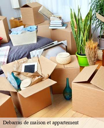 Debarras de maison et appartement  bricqueville-la-blouette-50200 Joan pro