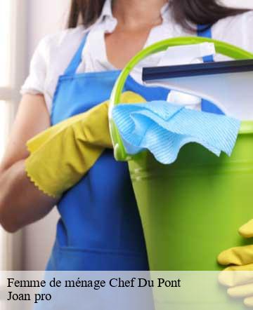 Femme de ménage  chef-du-pont-50480 Joan pro
