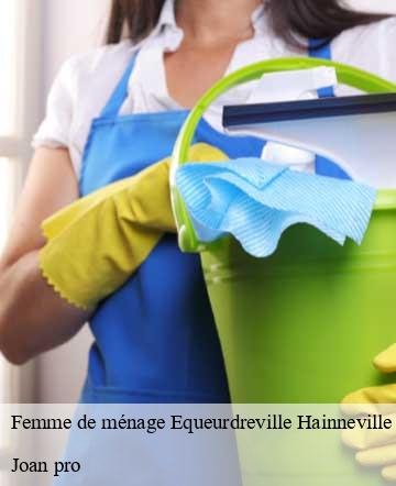 Femme de ménage  equeurdreville-hainneville-50120 Joan pro