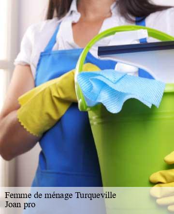 Femme de ménage  turqueville-50480 Joan pro