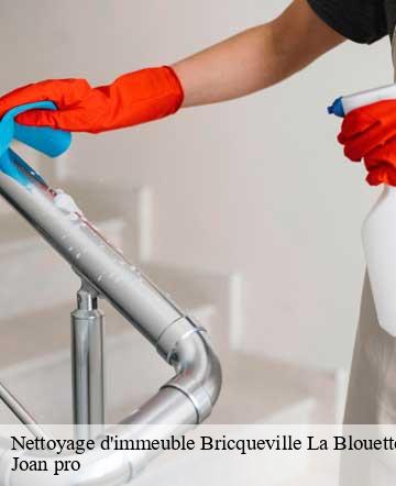 Nettoyage d'immeuble  bricqueville-la-blouette-50200 Joan pro