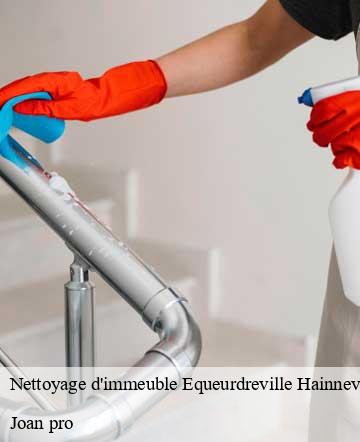 Nettoyage d'immeuble  equeurdreville-hainneville-50120 Joan pro