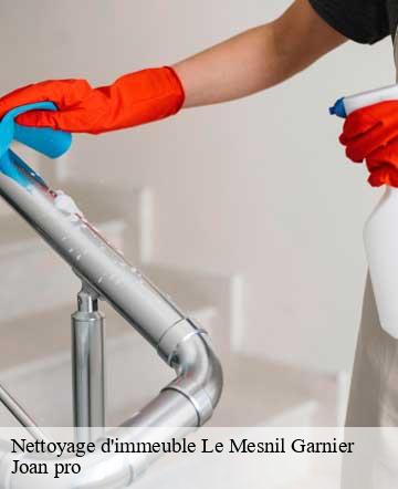 Nettoyage d'immeuble  le-mesnil-garnier-50450 Joan pro