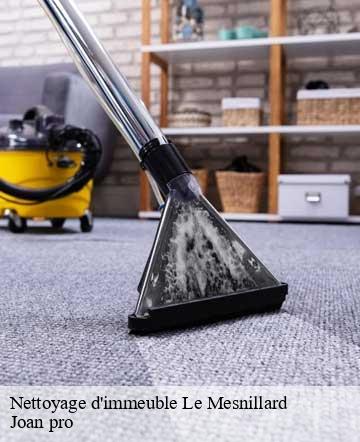 Nettoyage d'immeuble le-mesnillard-50600 Joan pro