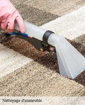 Nettoyage d'immeuble orval-50660 Joan pro