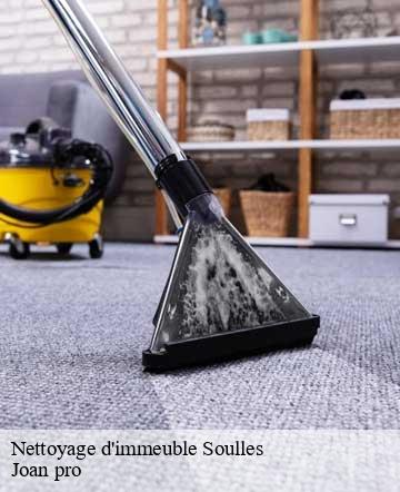 Nettoyage d'immeuble  soulles-50750 Joan pro